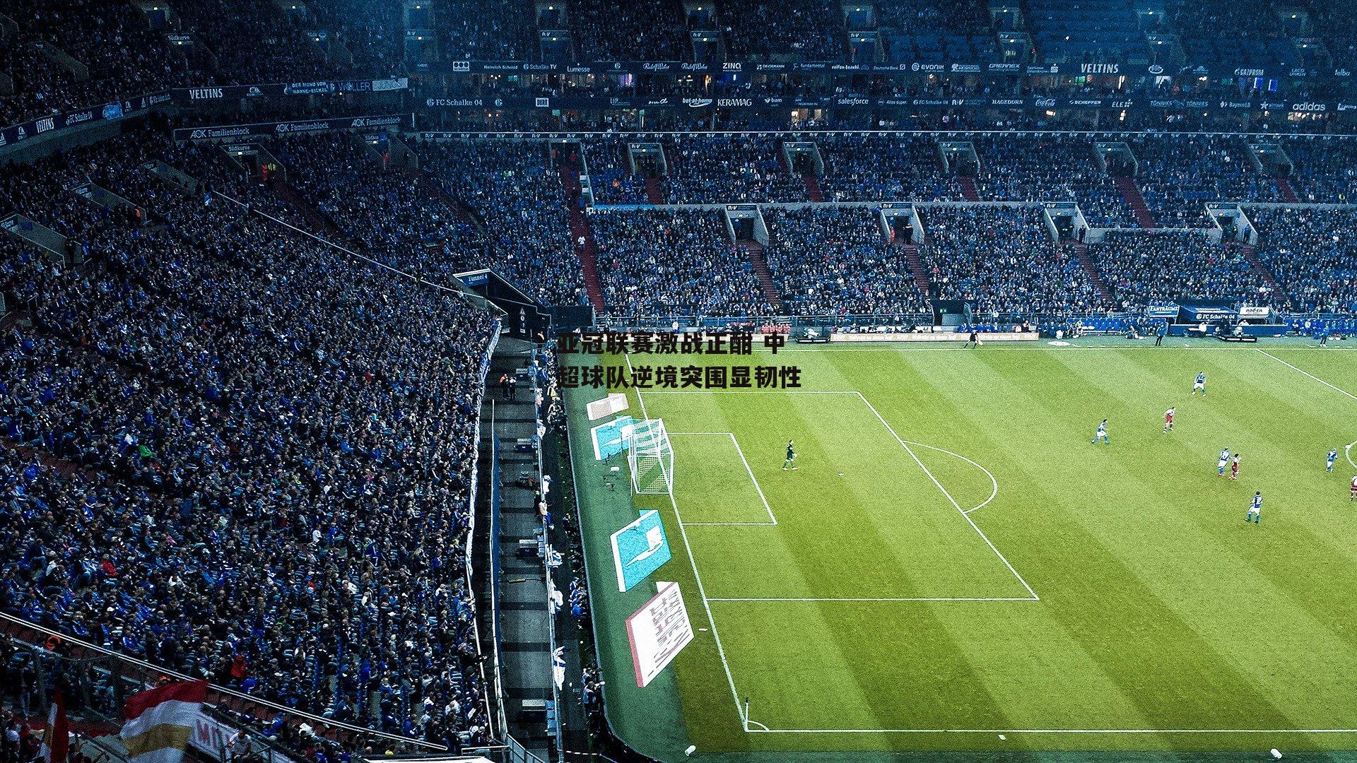 亚冠联赛激战正酣 中超球队逆境突围显韧性