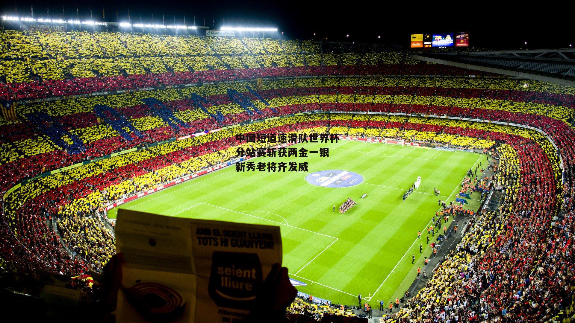 中国短道速滑队世界杯分站赛斩获两金一银 新秀老将齐发威-b体育官方入口