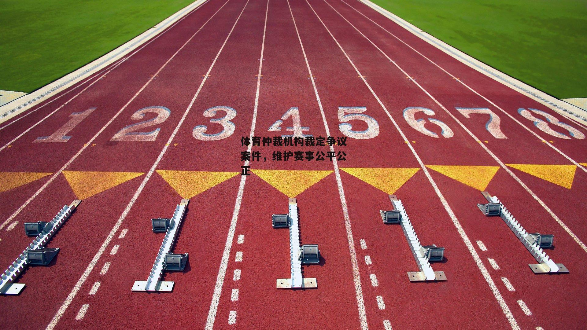 体育仲裁机构裁定争议案件,维护赛事公平公正